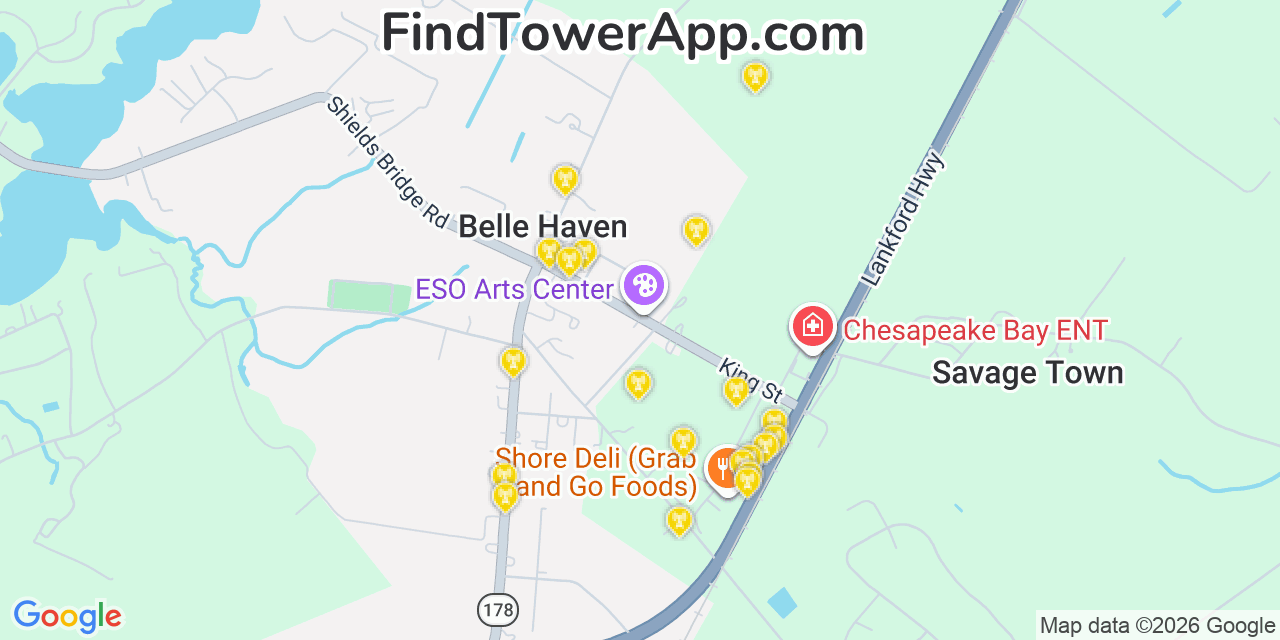 Map showing the 20 primary cell tower locations detected in Belle Haven, Virginia from AT&T, Verizon, and T-Mobile networks