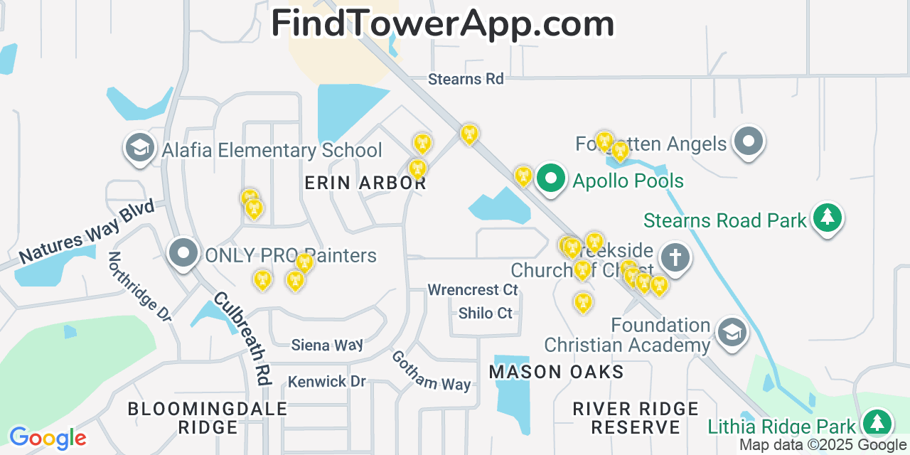 Map showing the 20 primary cell tower locations detected in Bloomingdale, Florida from AT&T, Verizon, and T-Mobile networks