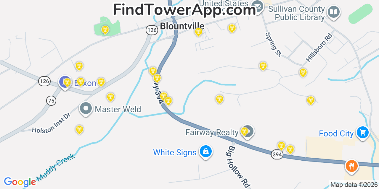 Map showing the 20 primary cell tower locations detected in Blountville, Tennessee from AT&T, Verizon, and T-Mobile networks