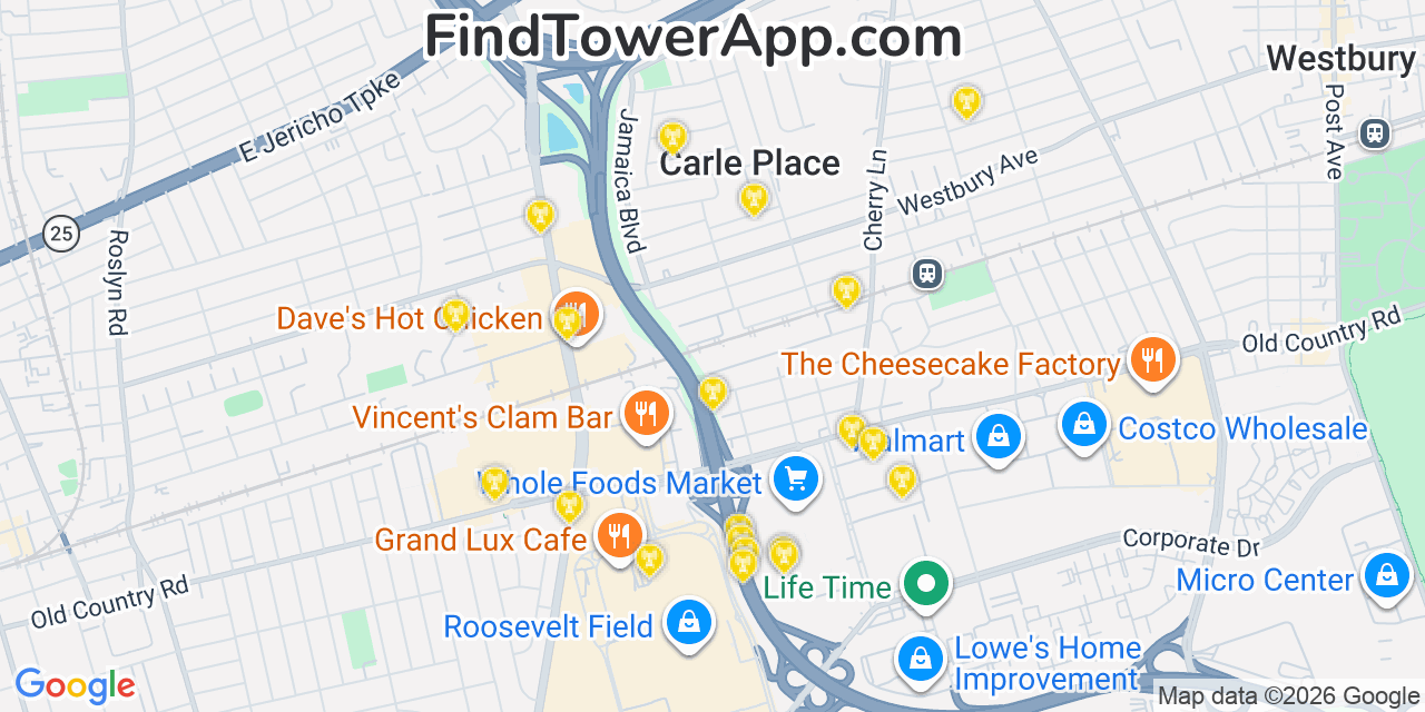 Map showing the 20 primary cell tower locations detected in Carle Place, New York from AT&T, Verizon, and T-Mobile networks