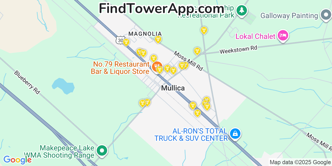 Map showing the 20 primary cell tower locations detected in Elwood, New Jersey from AT&T, Verizon, and T-Mobile networks