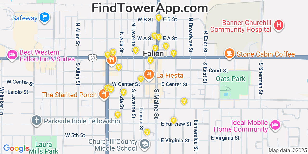 Map showing the 20 primary cell tower locations detected in Fallon, Nevada from AT&T, Verizon, and T-Mobile networks