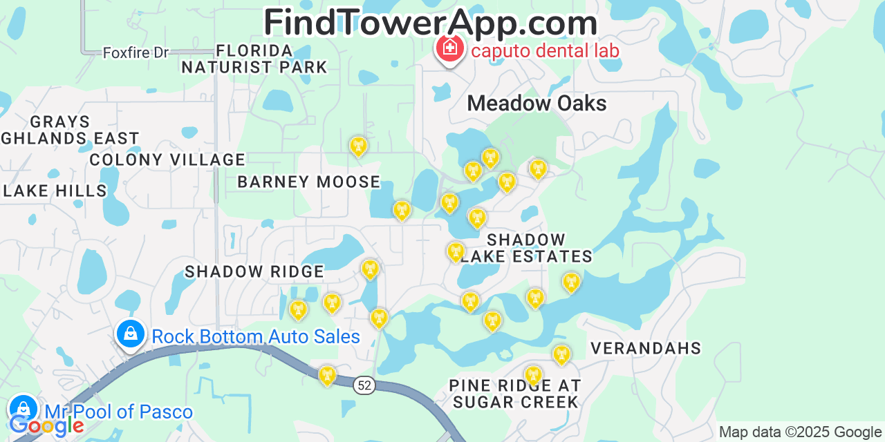 Map showing the 20 primary cell tower locations detected in Meadow Oaks, Florida from AT&T, Verizon, and T-Mobile networks