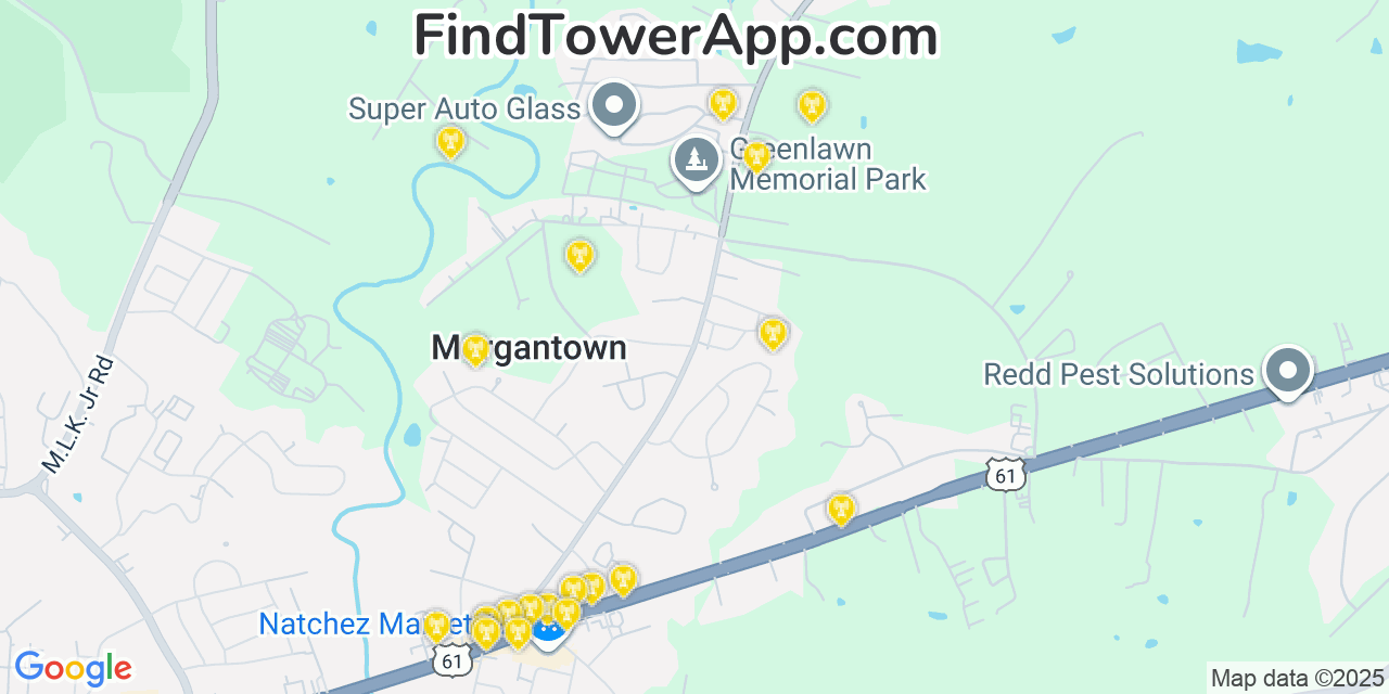 Map showing the 20 primary cell tower locations detected in Morgantown, Mississippi from AT&T, Verizon, and T-Mobile networks