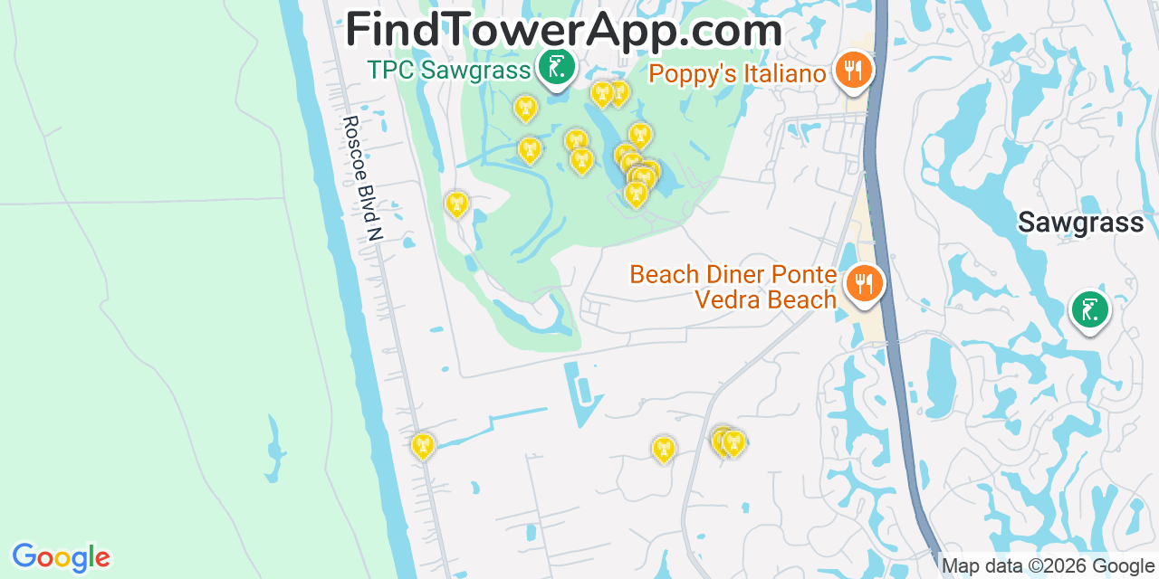 Map showing the 20 primary cell tower locations detected in Palm Valley, Florida from AT&T, Verizon, and T-Mobile networks