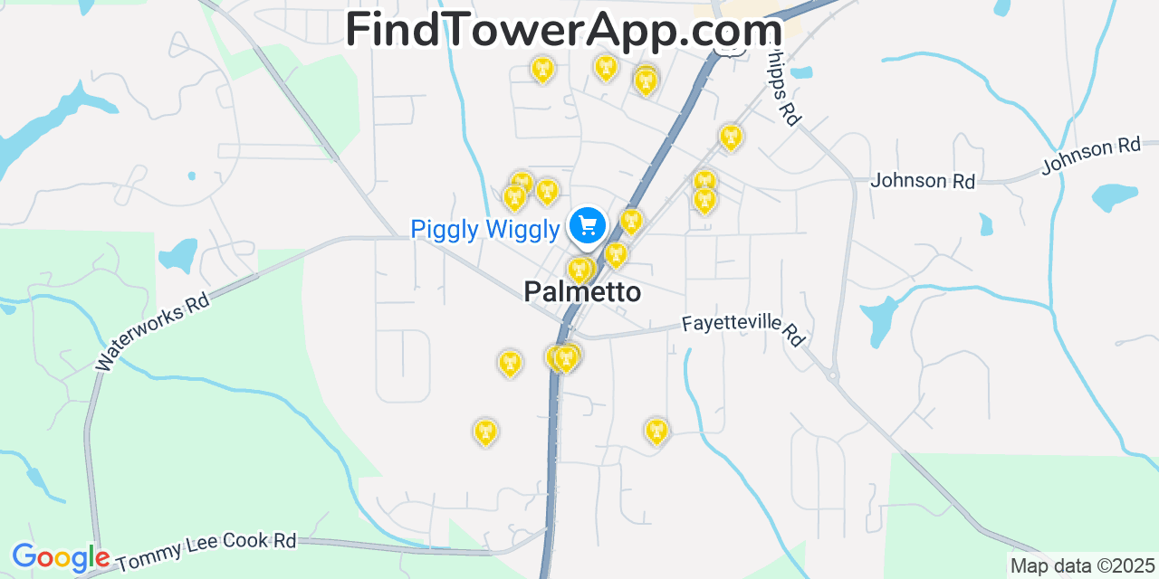 Map showing the 20 primary cell tower locations detected in Palmetto, Georgia from AT&T, Verizon, and T-Mobile networks