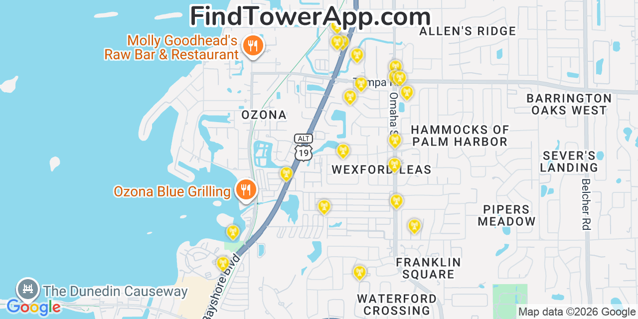 Map showing the 20 primary T-Mobile cell tower locations detected in Palmharbor, Florida with coverage radius and signal strength indicators