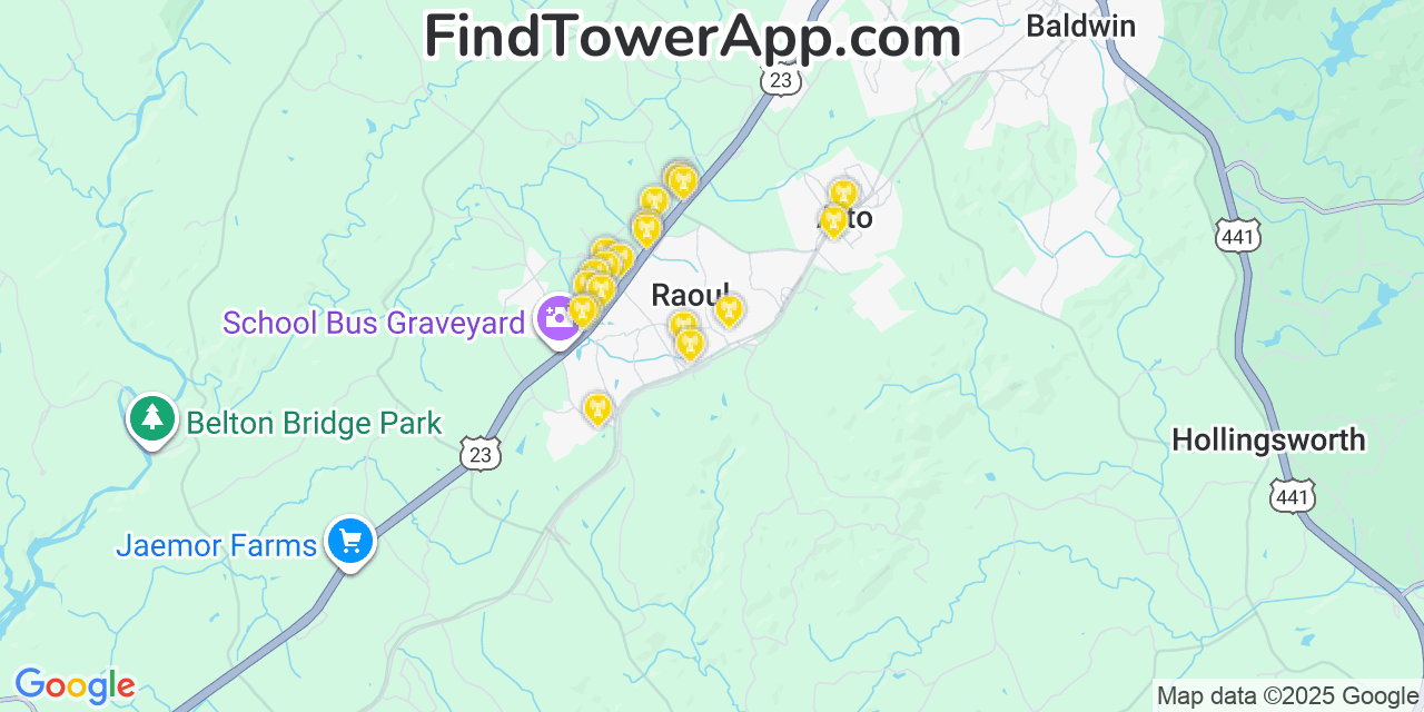 Map showing the 20 primary cell tower locations detected in Raoul, Georgia from AT&T, Verizon, and T-Mobile networks