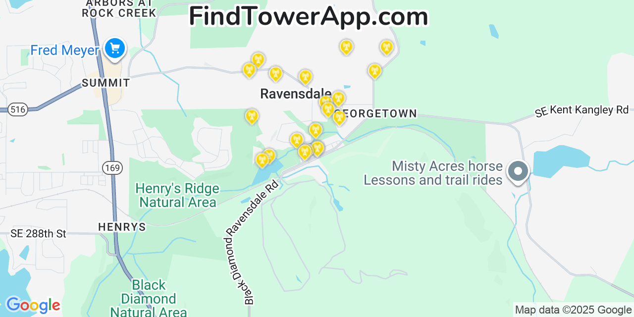 Map showing the 20 primary cell tower locations detected in Ravensdale, Washington from AT&T, Verizon, and T-Mobile networks
