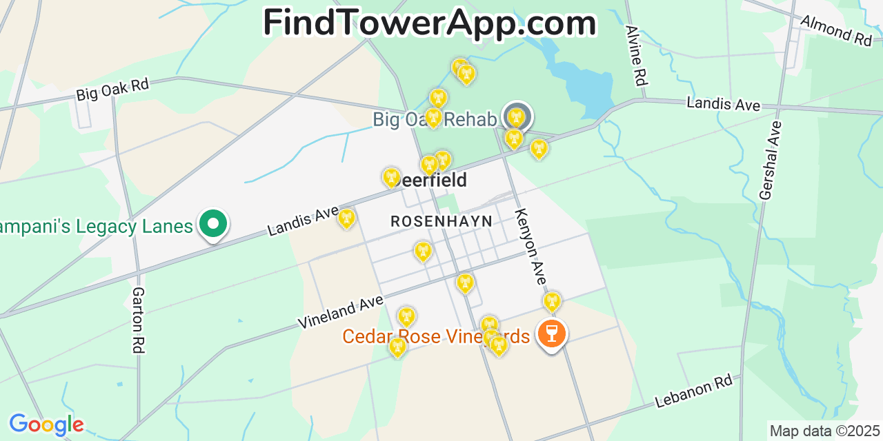 Map showing the 20 primary cell tower locations detected in Rosenhayn, New Jersey from AT&T, Verizon, and T-Mobile networks