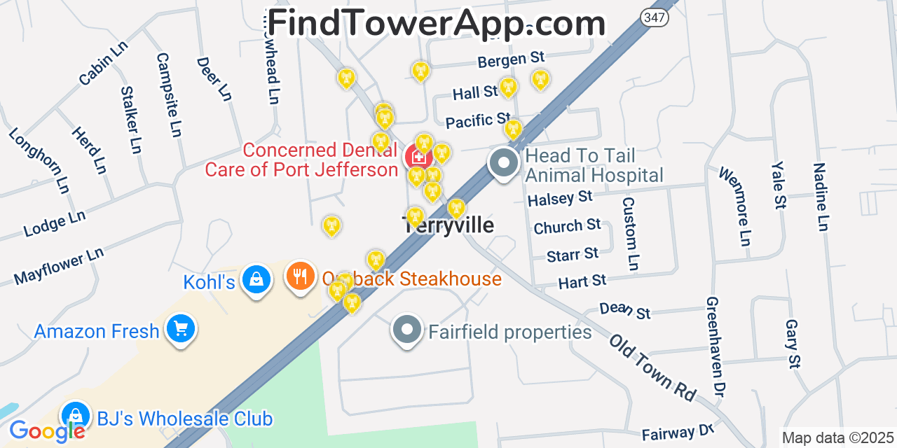 Map showing the 20 primary cell tower locations detected in Terryville, New York from AT&T, Verizon, and T-Mobile networks