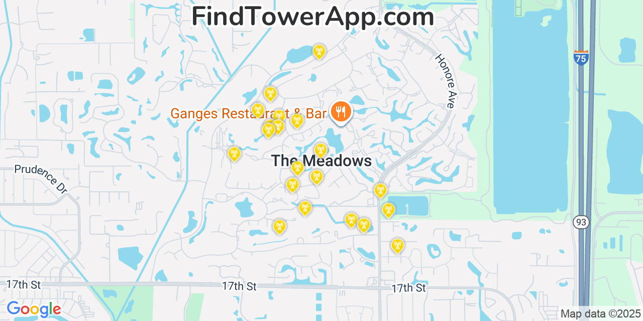Map showing the 20 primary cell tower locations detected in The Meadows, Florida from AT&T, Verizon, and T-Mobile networks
