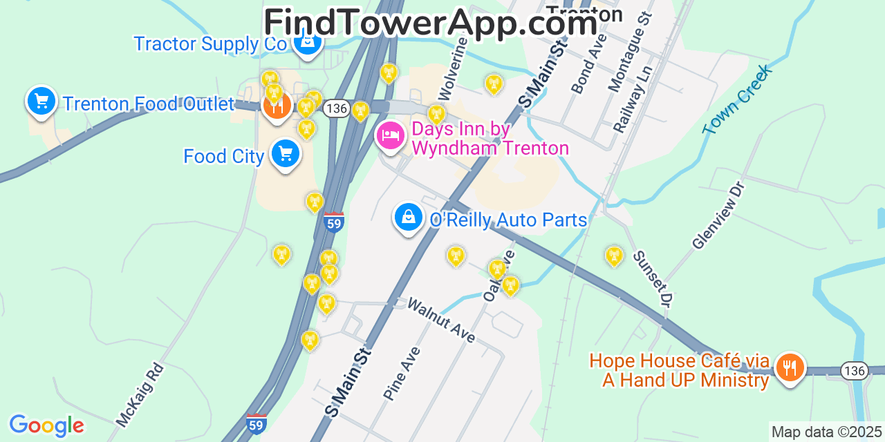 Map showing the 20 primary Mobitel cell tower locations detected in Trenton, Georgia with coverage radius and signal strength indicators