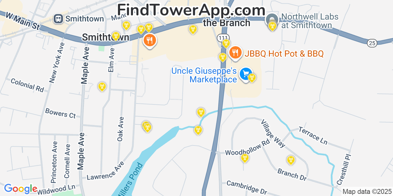 Map showing the 20 primary AT&T cell tower locations detected in Village Of The Branch, New York with coverage radius and signal strength indicators