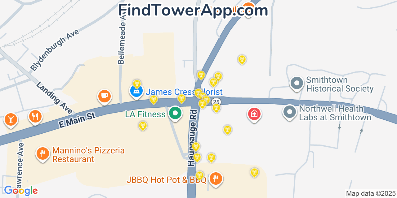 Map showing the 20 primary cell tower locations detected in Village of the Branch, New York from AT&T, Verizon, and T-Mobile networks