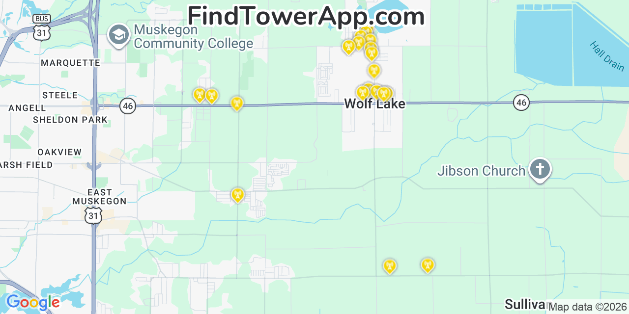 Map showing the 20 primary cell tower locations detected in Wolf Lake, Michigan from AT&T, Verizon, and T-Mobile networks